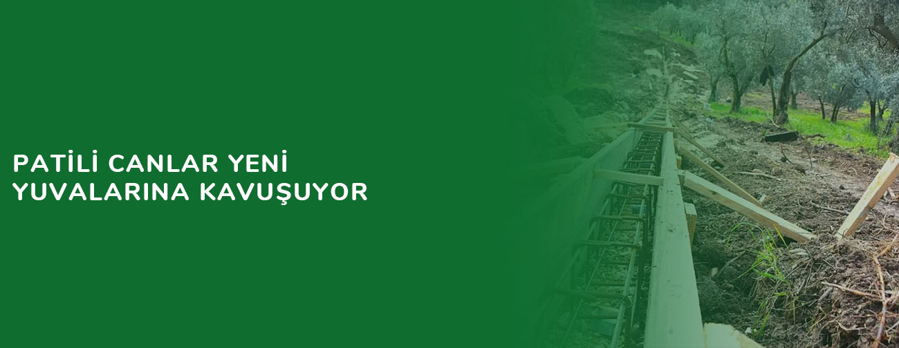 Patili canlar yeni yuvalarına kavuşuyor