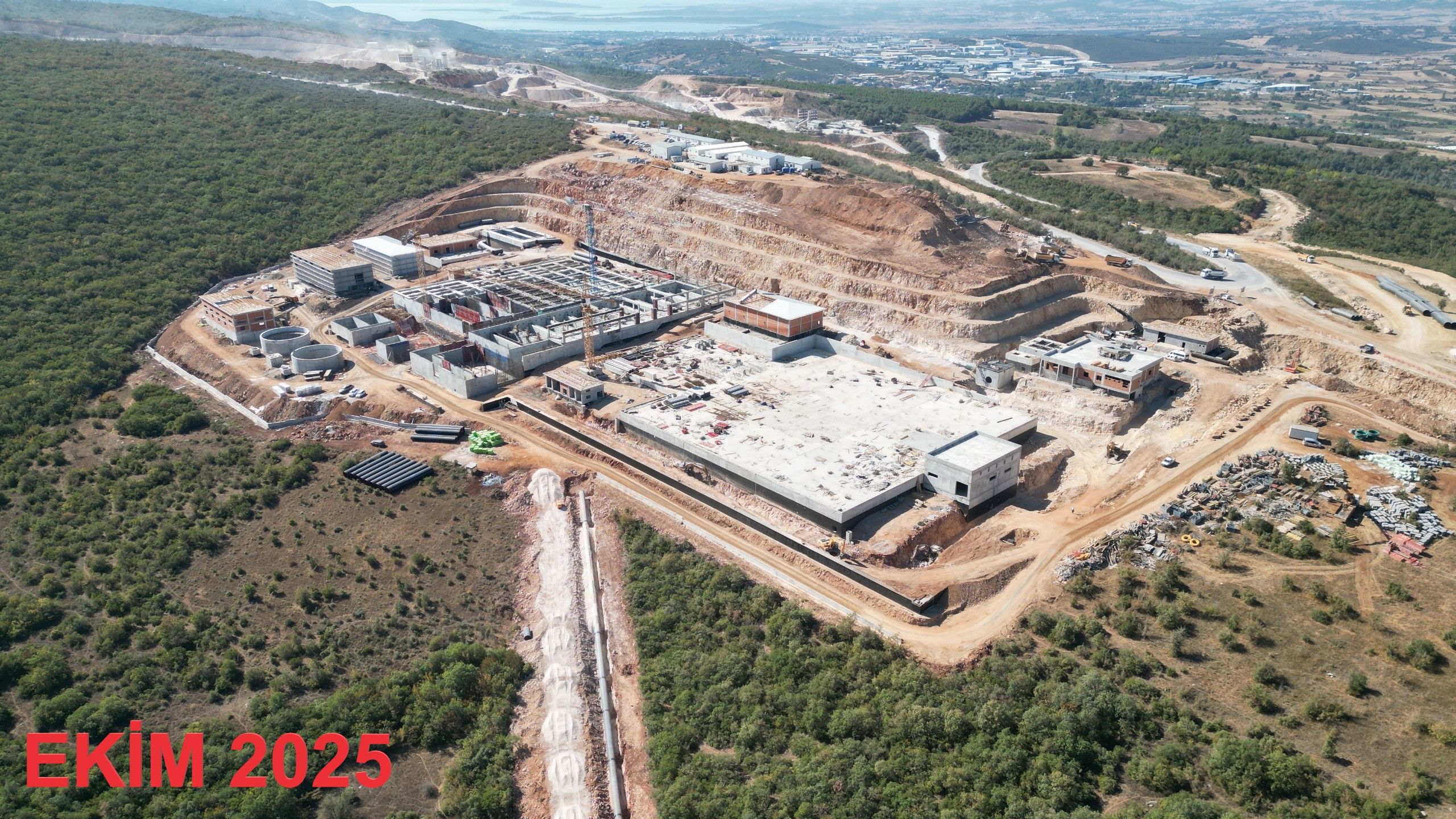 36233 M T Y4 Zj Yy Yz