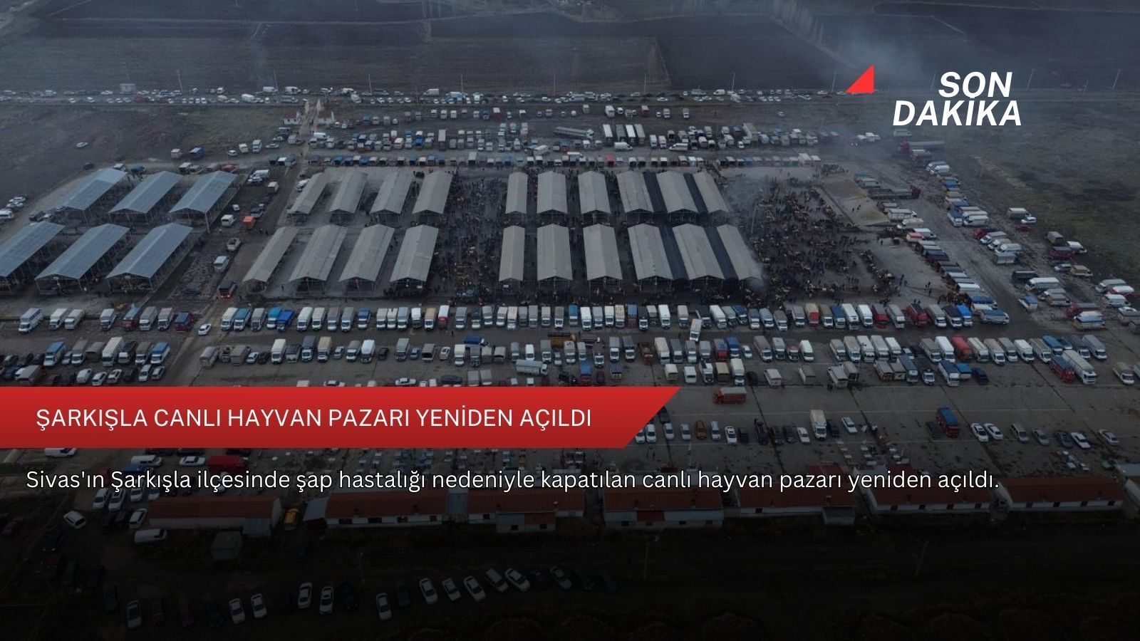 Şarkışla Canlı Hayvan Pazarı yeniden açıldı