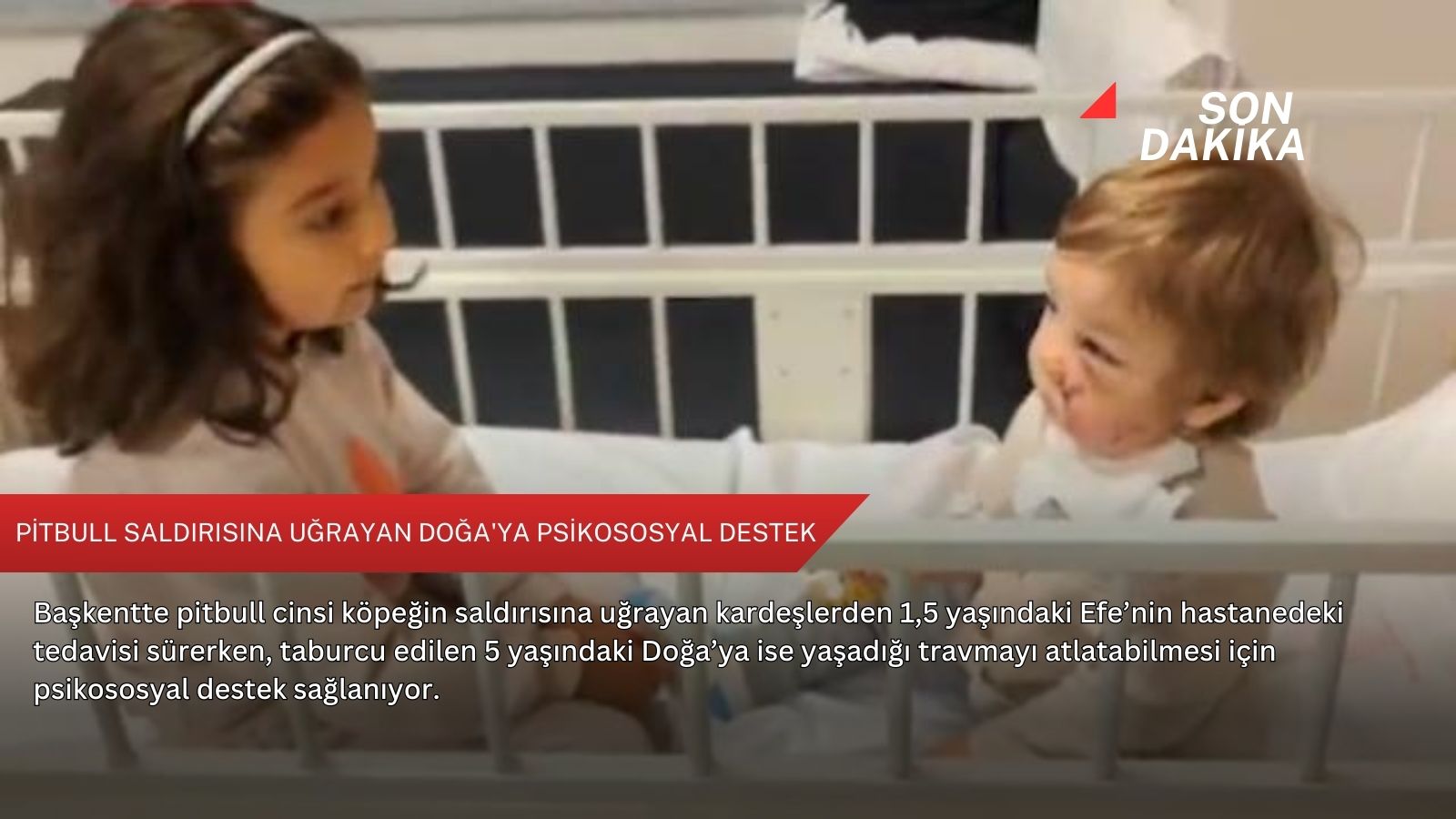 Pitbull saldırısına uğrayan Doğa'ya psikososyal destek