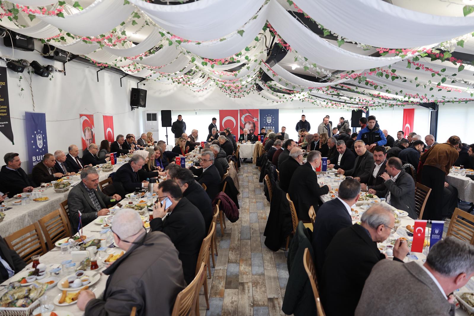 36641 M T Y5 Nz Iy Mm