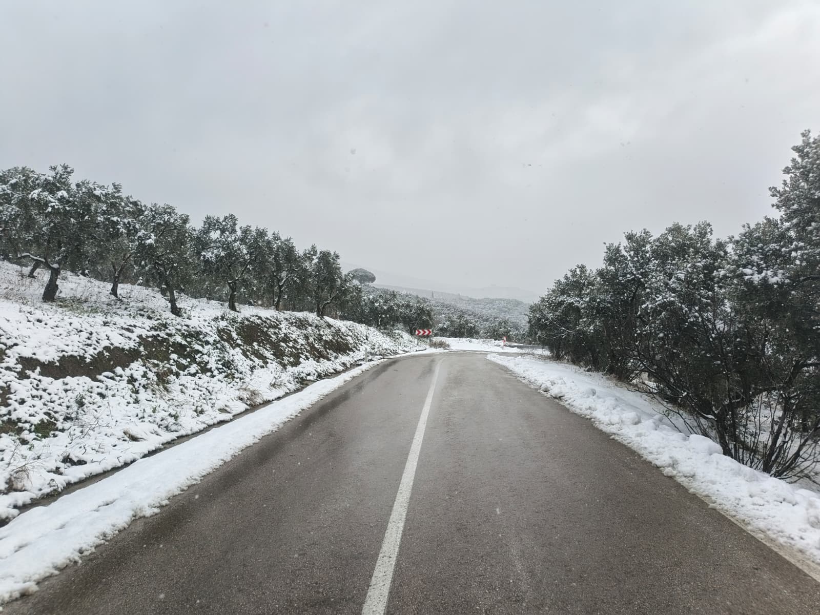 Whatsapp Image 2026 01 19 At 14.22.06