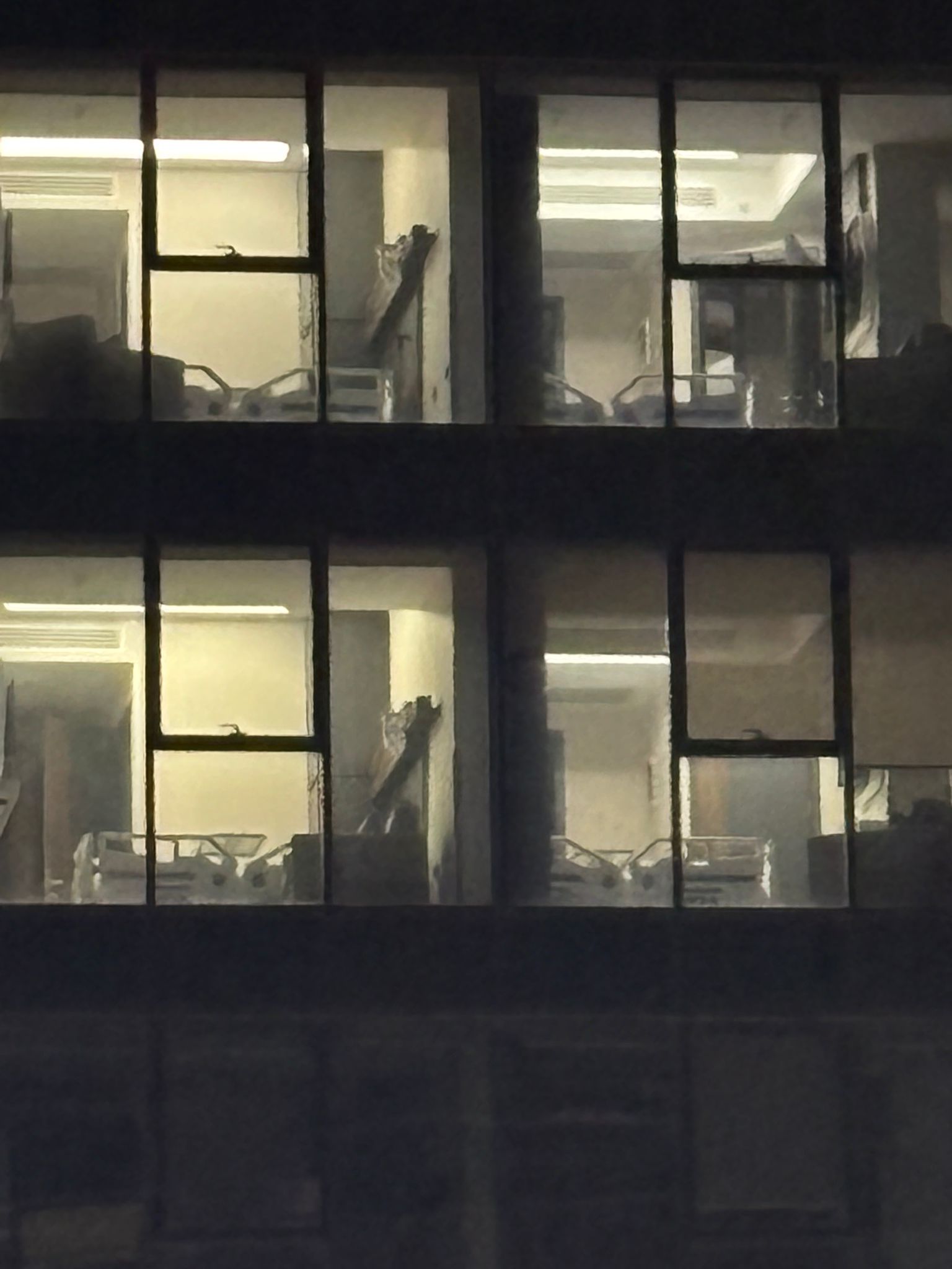 Whatsapp Image 2026 01 22 At 12.57.49