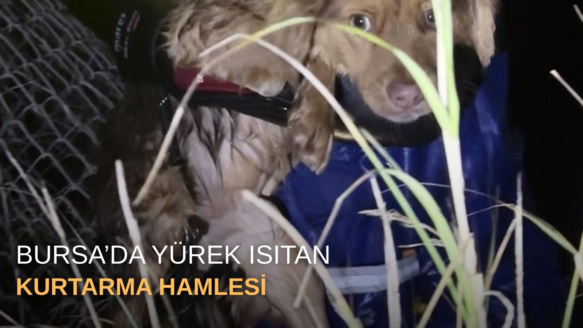 Bursa’da yürek ısıtan kurtarma hamlesi