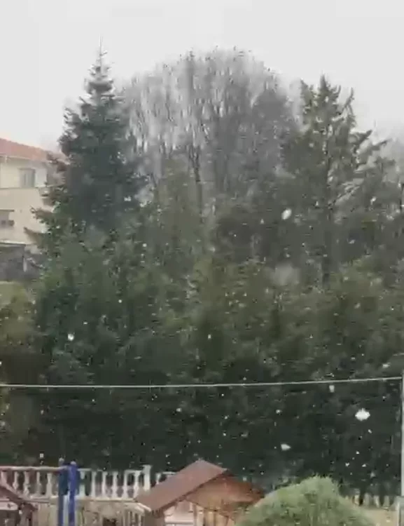 Ekran Goruntusu 162 6995A23Cb4Ebe