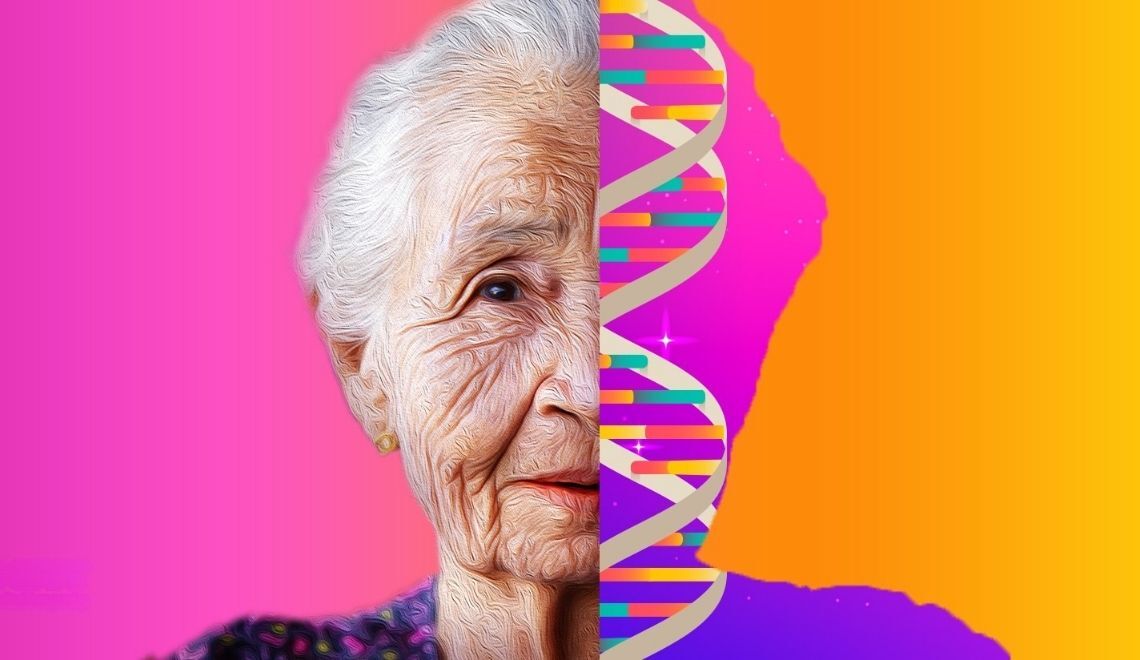 Longevity Ayricalik Mi Hak Mi