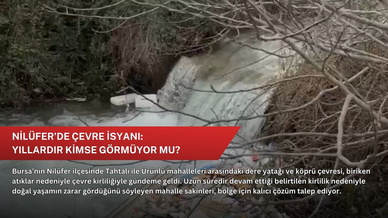 Nilüfer’de çevre isyanı: Yıllardır kimse görmüyor mu?