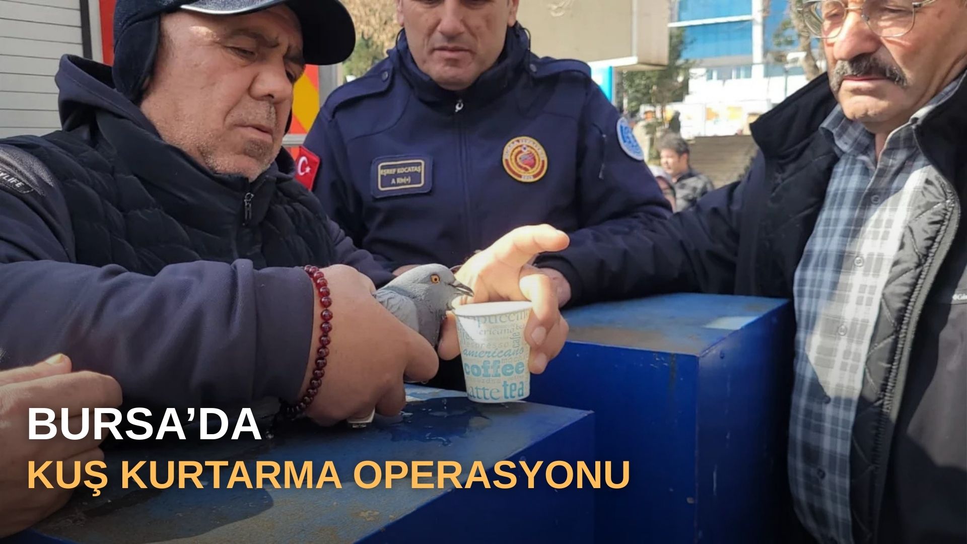 Bursa'da kuş kurtarma operasyonu