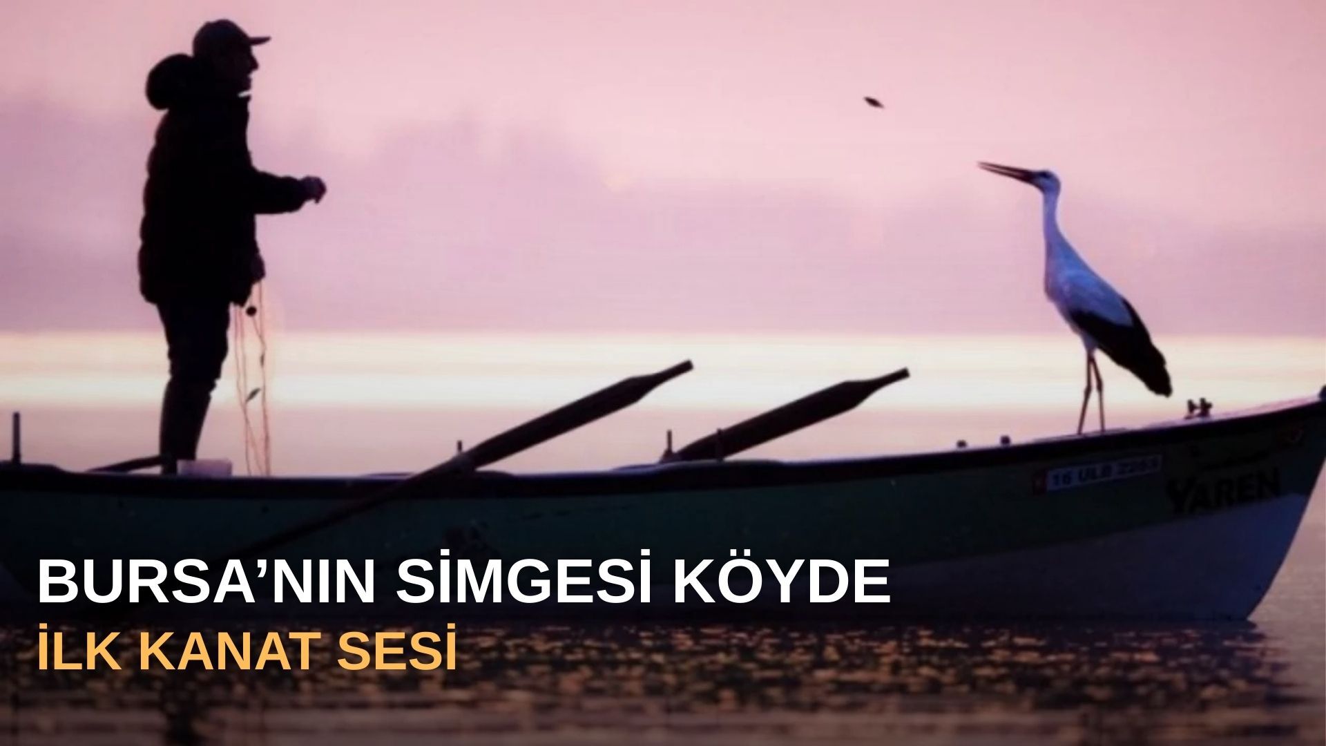 Bursa’nın simgesi köyde ilk kanat sesi