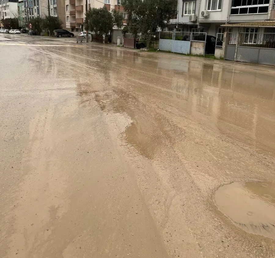 Web Whatsapp 3 6996D394Bac8C