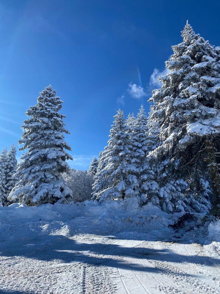 Whatsapp Image 2026 02 17 At 11.32.59