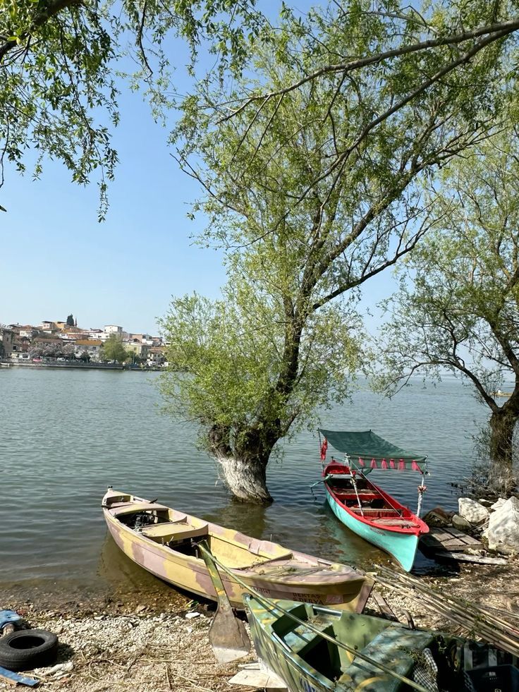 Whatsapp Image 2026 02 17 At 11.45.21