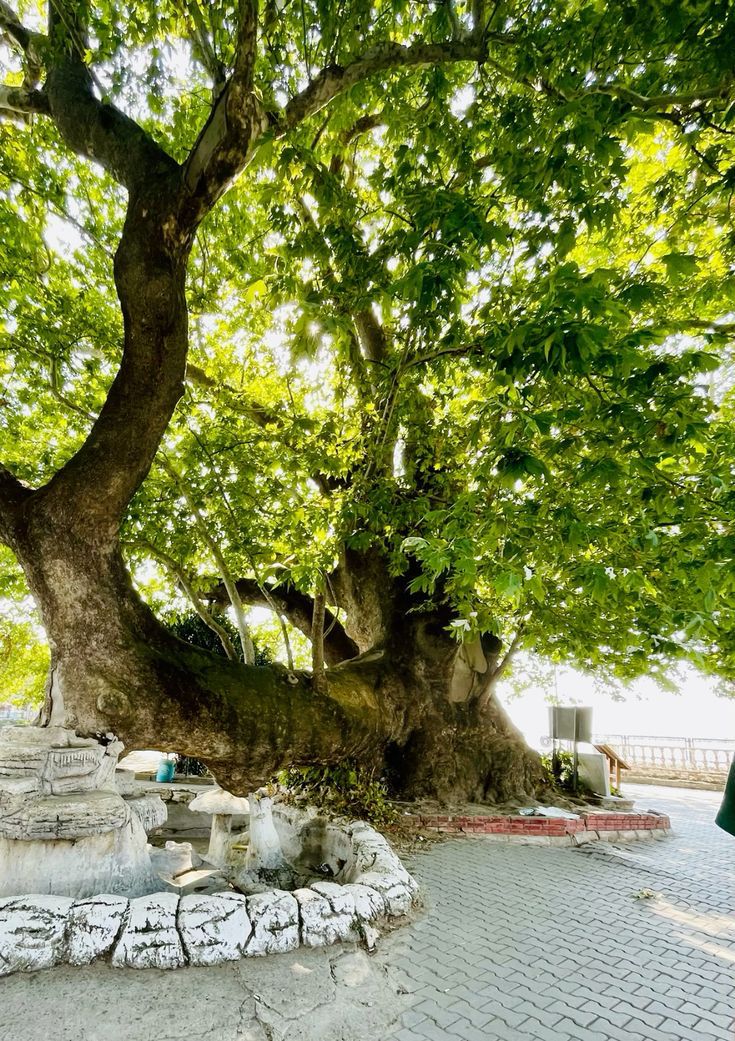 Whatsapp Image 2026 02 17 At 12.22.53