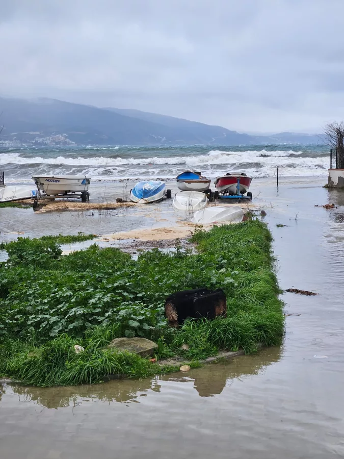 Whatsapp Image 2026 02 18 At 10 48 18 2 6995707B26Adb