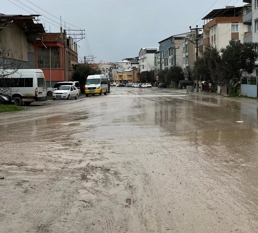 Whatsapp Image 2026 02 19 At 12 05 08 6996D38E90Fcc