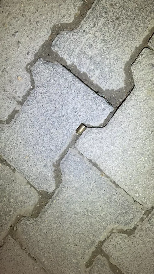 Whatsapp Image 2026 02 24 At 02 35 21 699D58Bec5Ad7