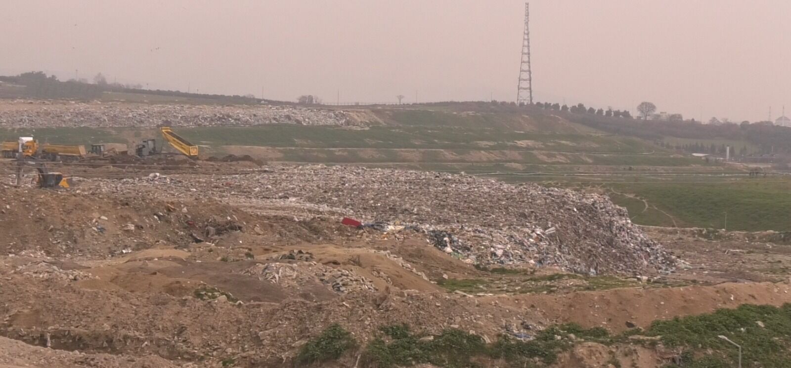 2A64Ed9C F43A 4A4F 916C Fd15A9A5D72B