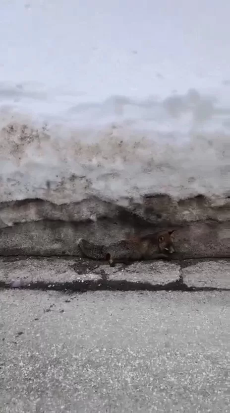 Aw655859 01 69Aa815Ea39C8