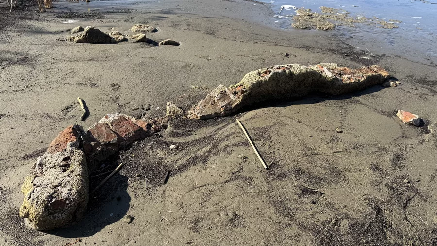 Aw656649 06 69Abd2D8Eea58