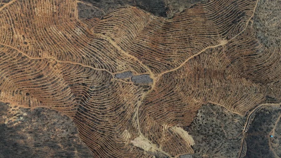 Aw669795 04 69C516Ad25E74