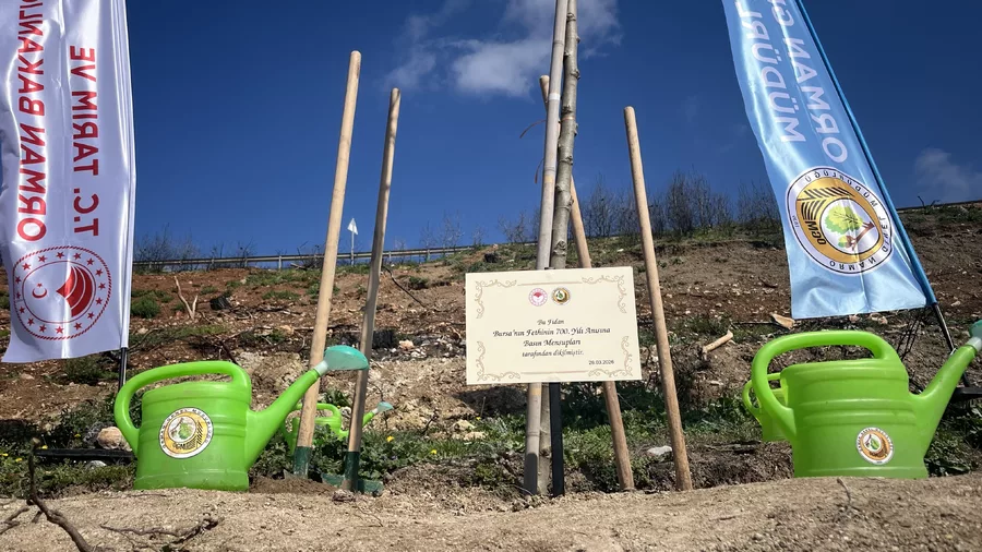 Aw669795 05 69C5163D07B12