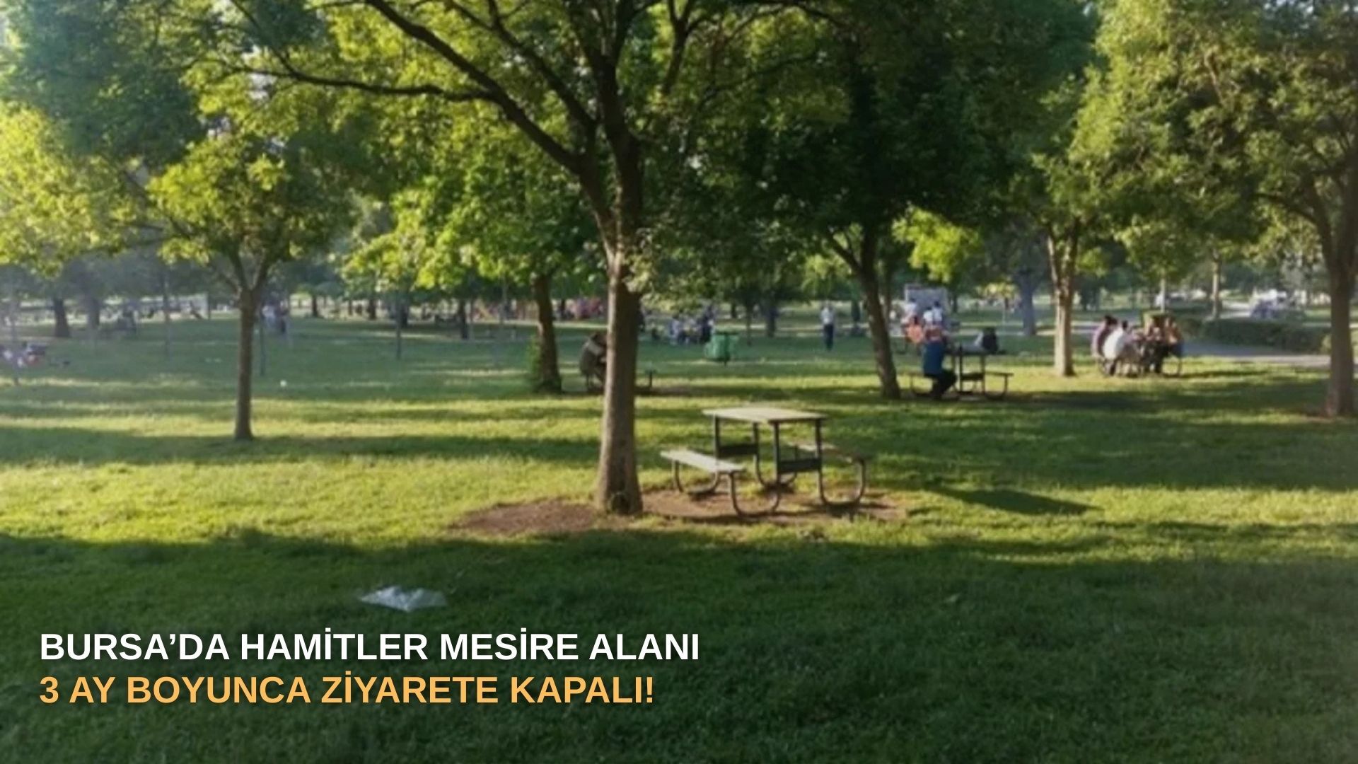 Bursa’da Hamitler Mesire alanı 3 ay boyunca ziyarete kapalı!