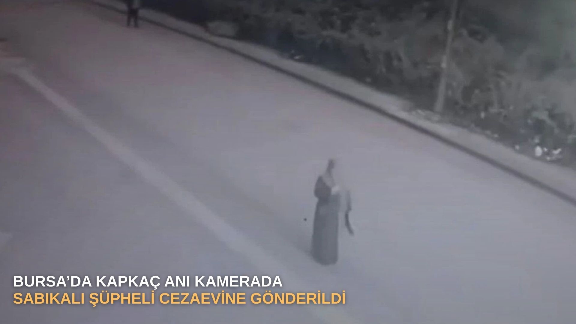 Bursa’da kapkaç anı kamerada: Sabıkalı şüpheli cezaevine gönderildi