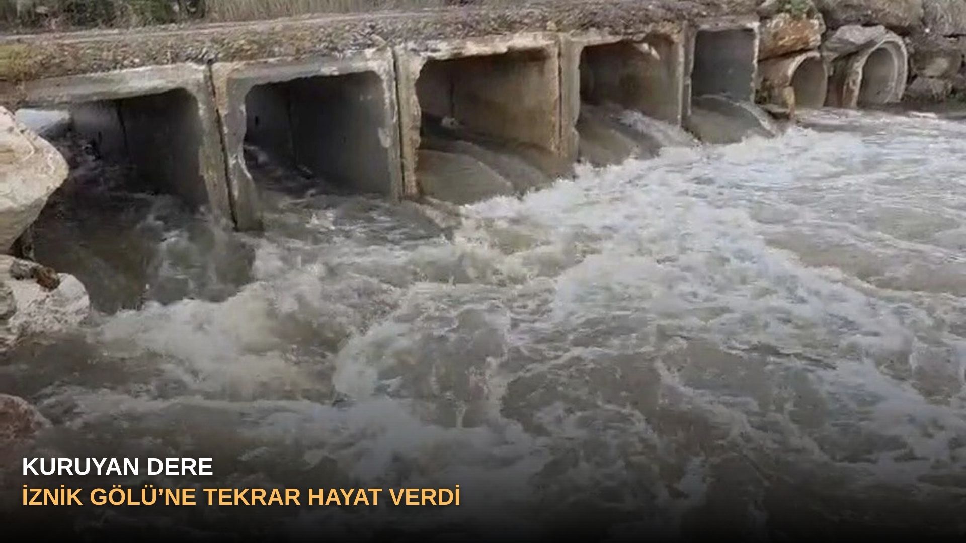Kuruyan dere,İznik Gölü’ne tekrar hayat verdi!