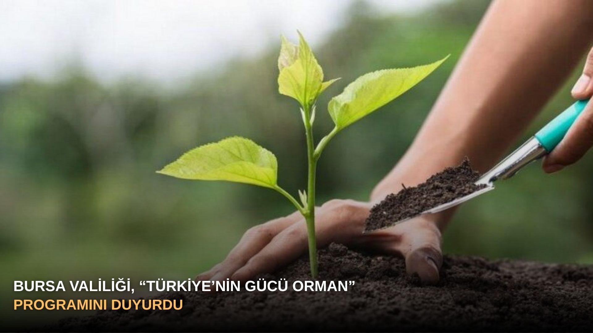 Bursa Valiliği, “Türkiye’nin Gücü Orman” programını duyurdu