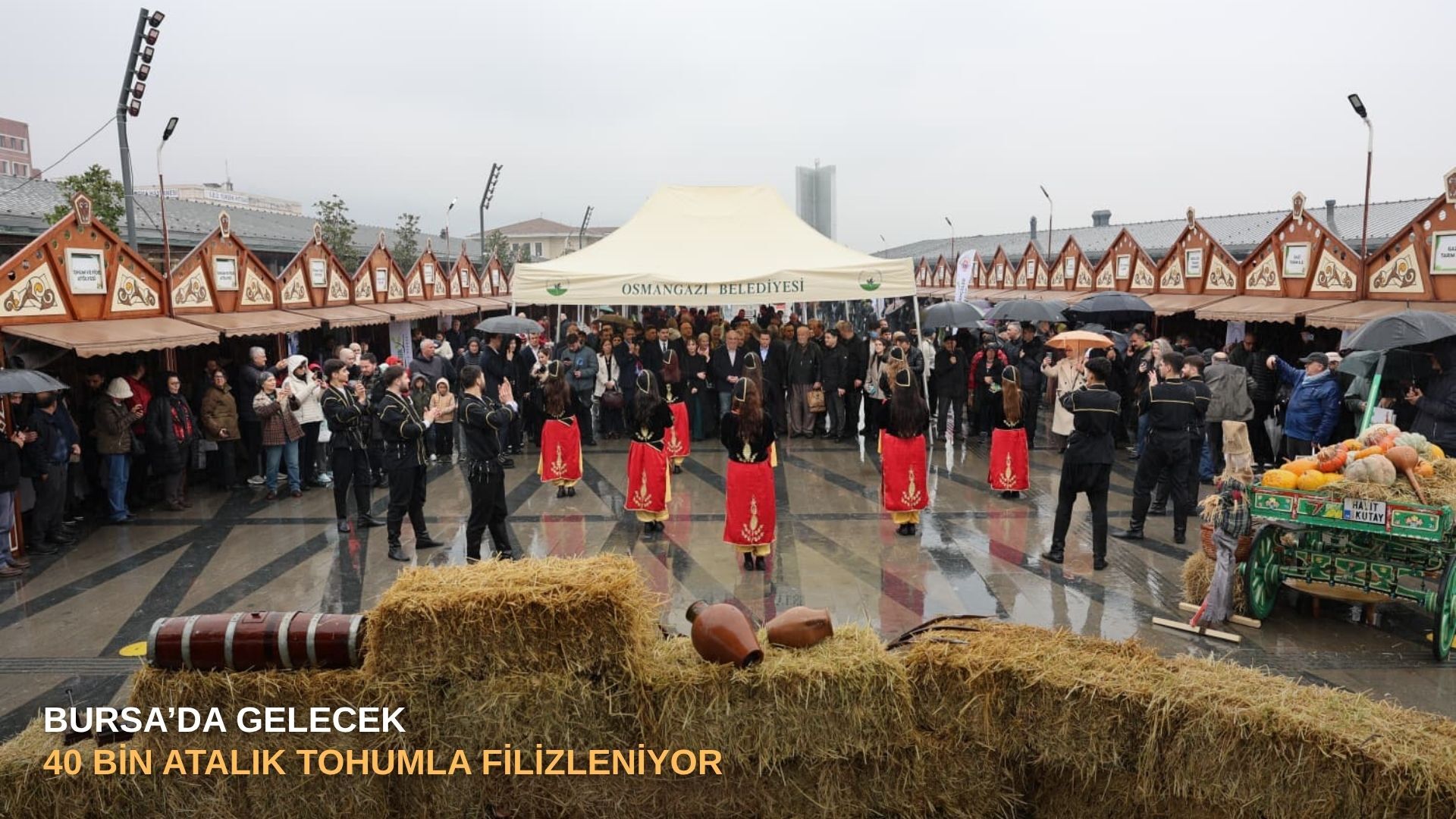 Bursa’da gelecek 40 bin atalık tohumla filizleniyor