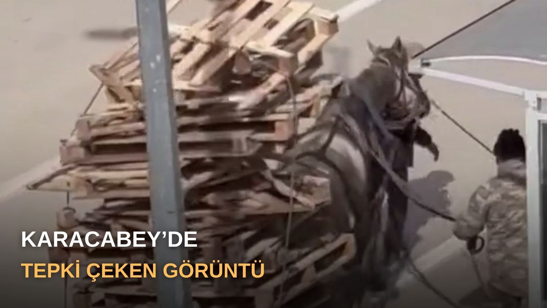 Karacabey’de tepki çeken görüntü