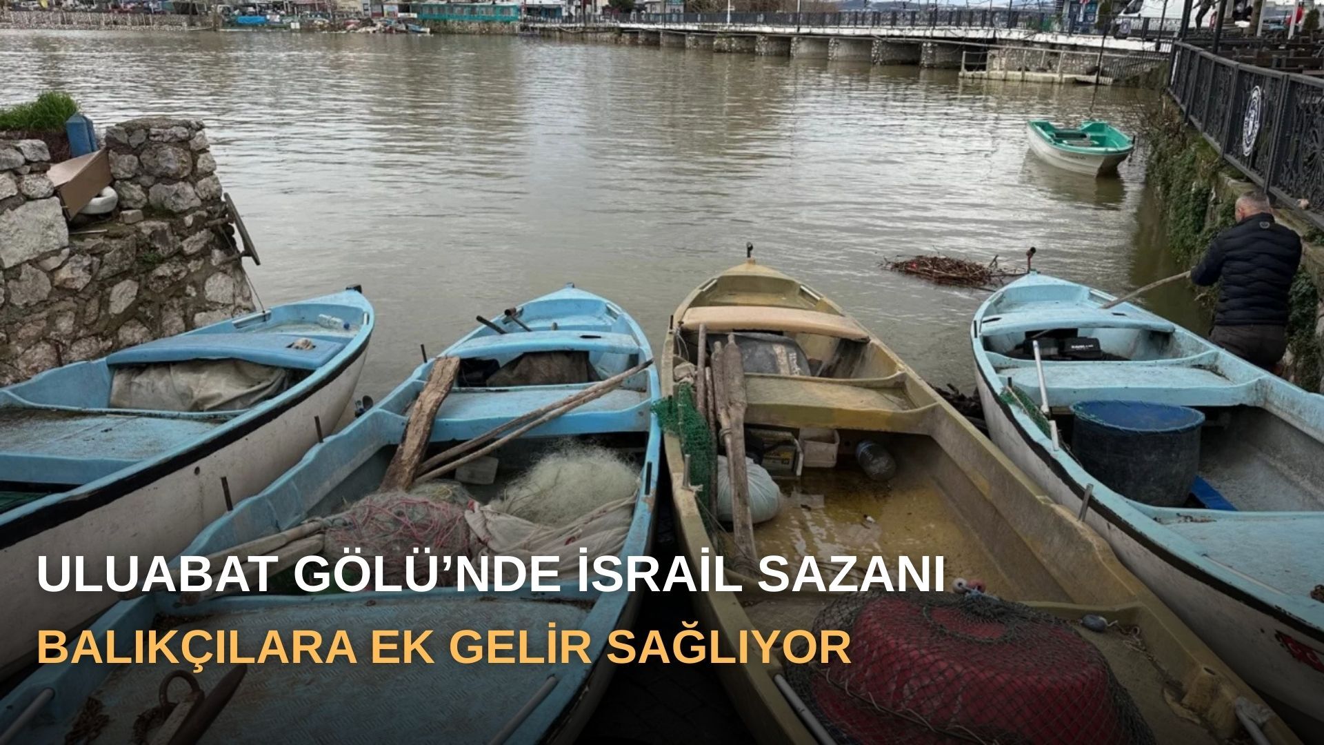 Uluabat Gölü’nde İsrail Sazanı balıkçılara ek gelir sağlıyor