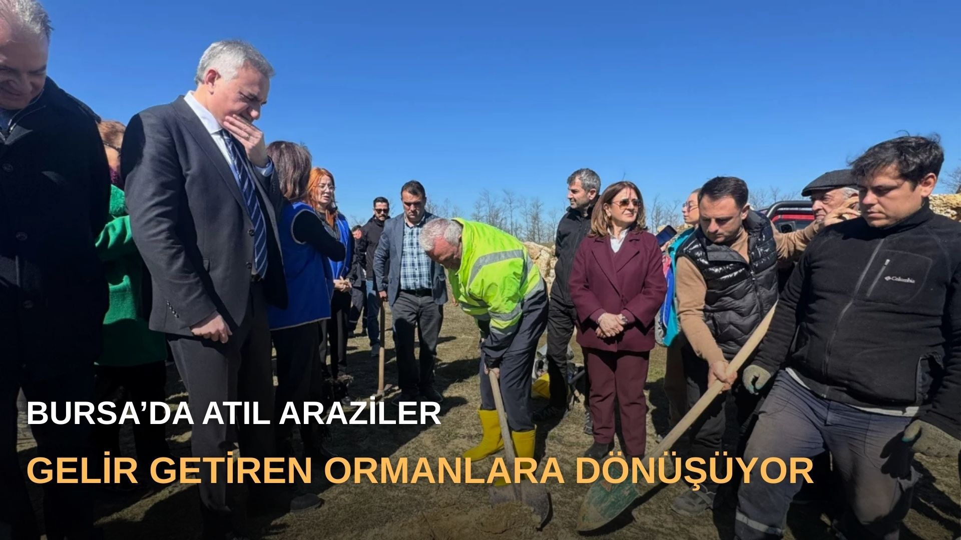 Bursa’da atıl araziler gelir getiren ormanlara dönüşüyor