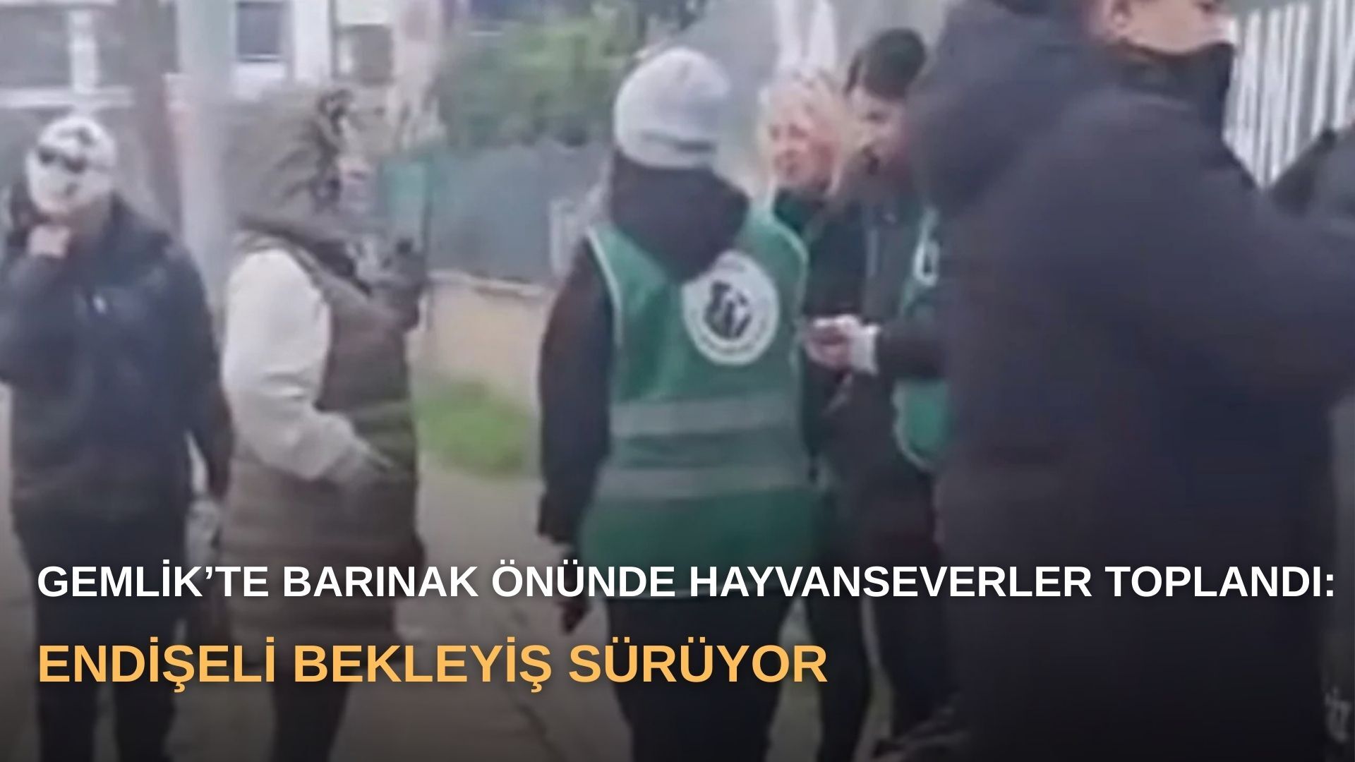 Gemlik’te barınak önünde hayvanseverler toplandı: Endişeli bekleyiş sürüyor