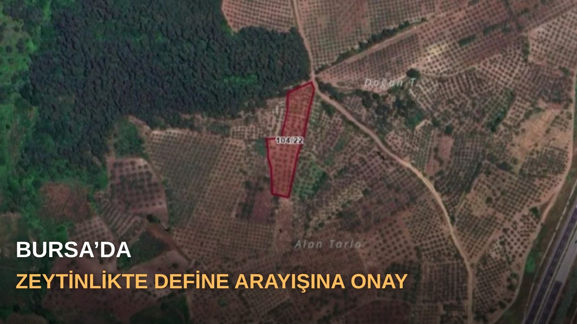 Bursa’da zeytinlikte define arayışına onay