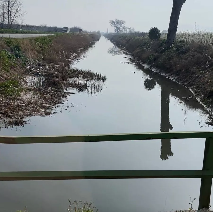 Whatsapp Image 2026 03 03 At 13 09 03 69A6B3Dcb5B8E