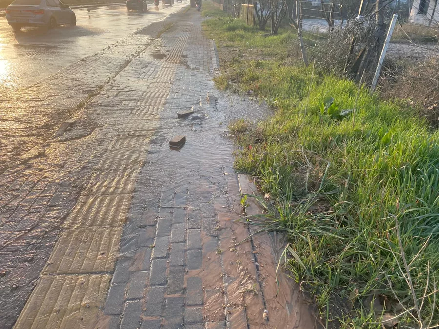 Whatsapp Image 2026 03 17 At 08 20 56 69B8E56D8Cc7C