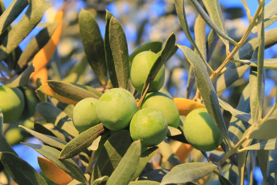 Aw690402 02 69Eb191Db189B-1