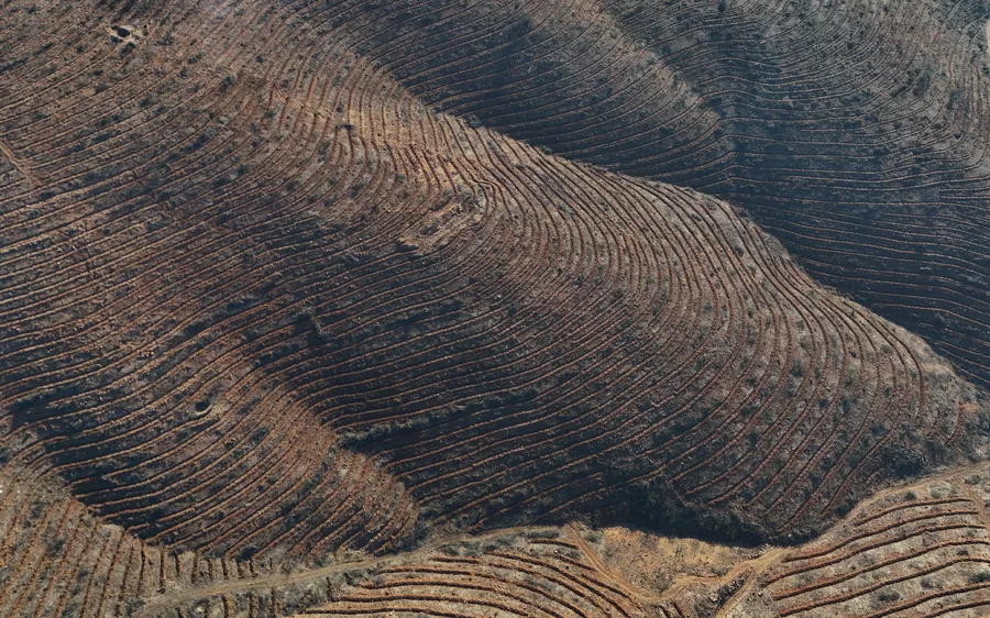 Aw690438 07 69Eb1Ae2D432F (1)