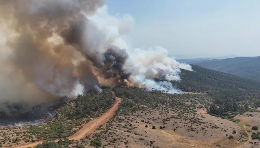 Aw690438 10 69Eb1Adf5D72F