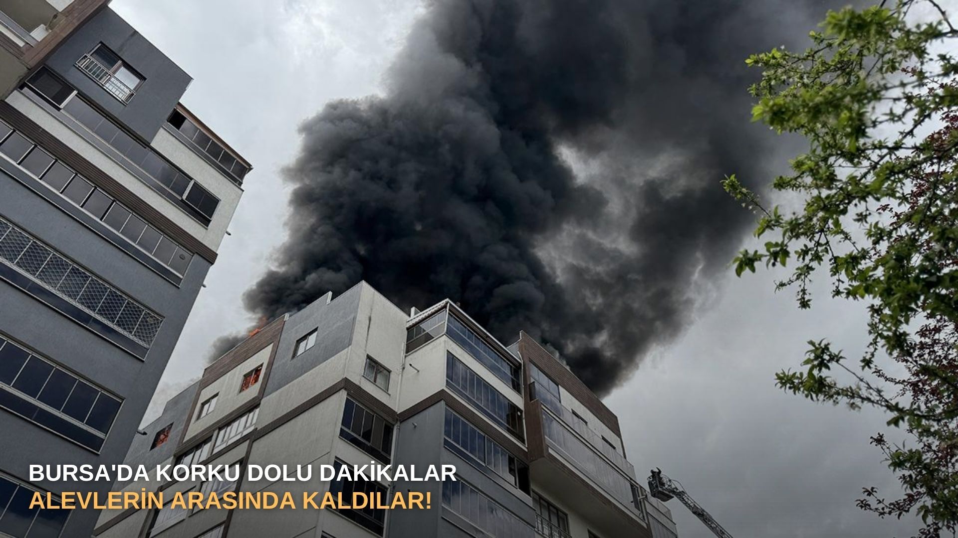 Bursa'da korku dolu dakikalar: Alevlerin arasında kaldılar!