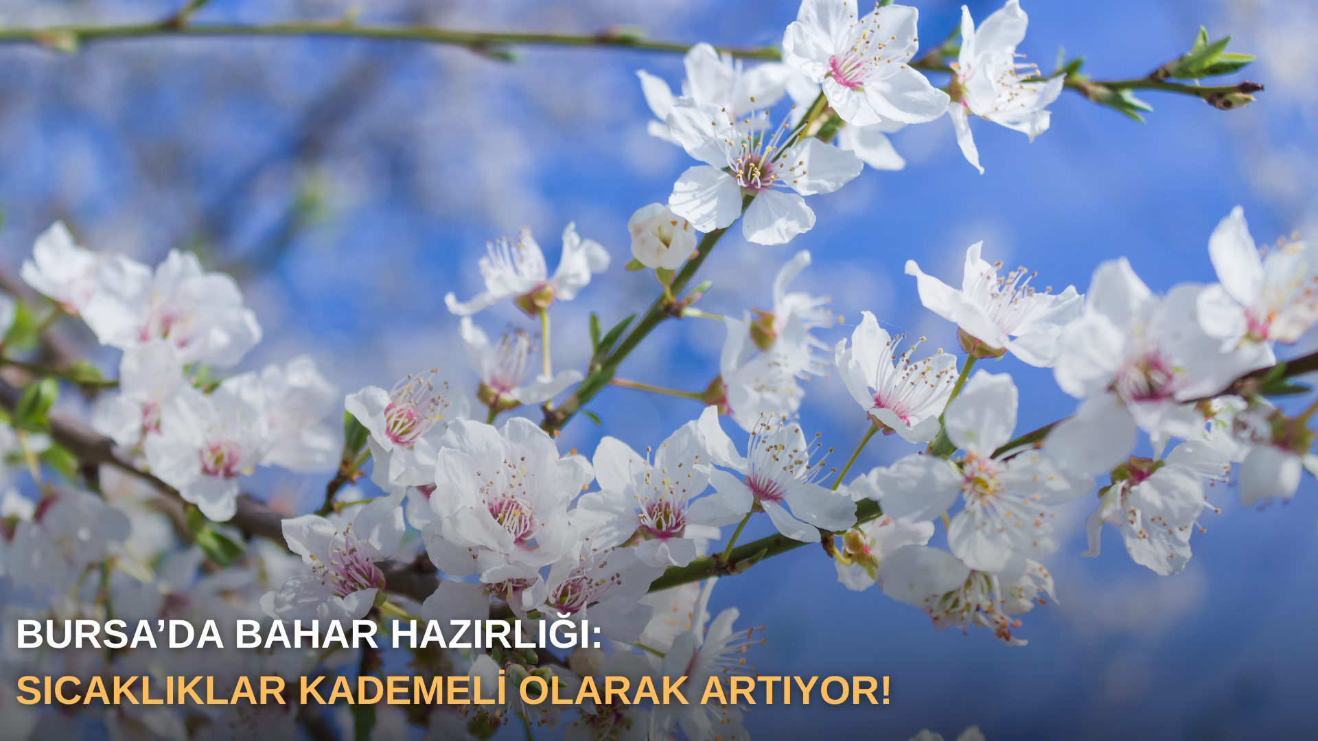 Bursa’da bahar hazırlığı: Sıcaklıklar kademeli olarak artıyor!