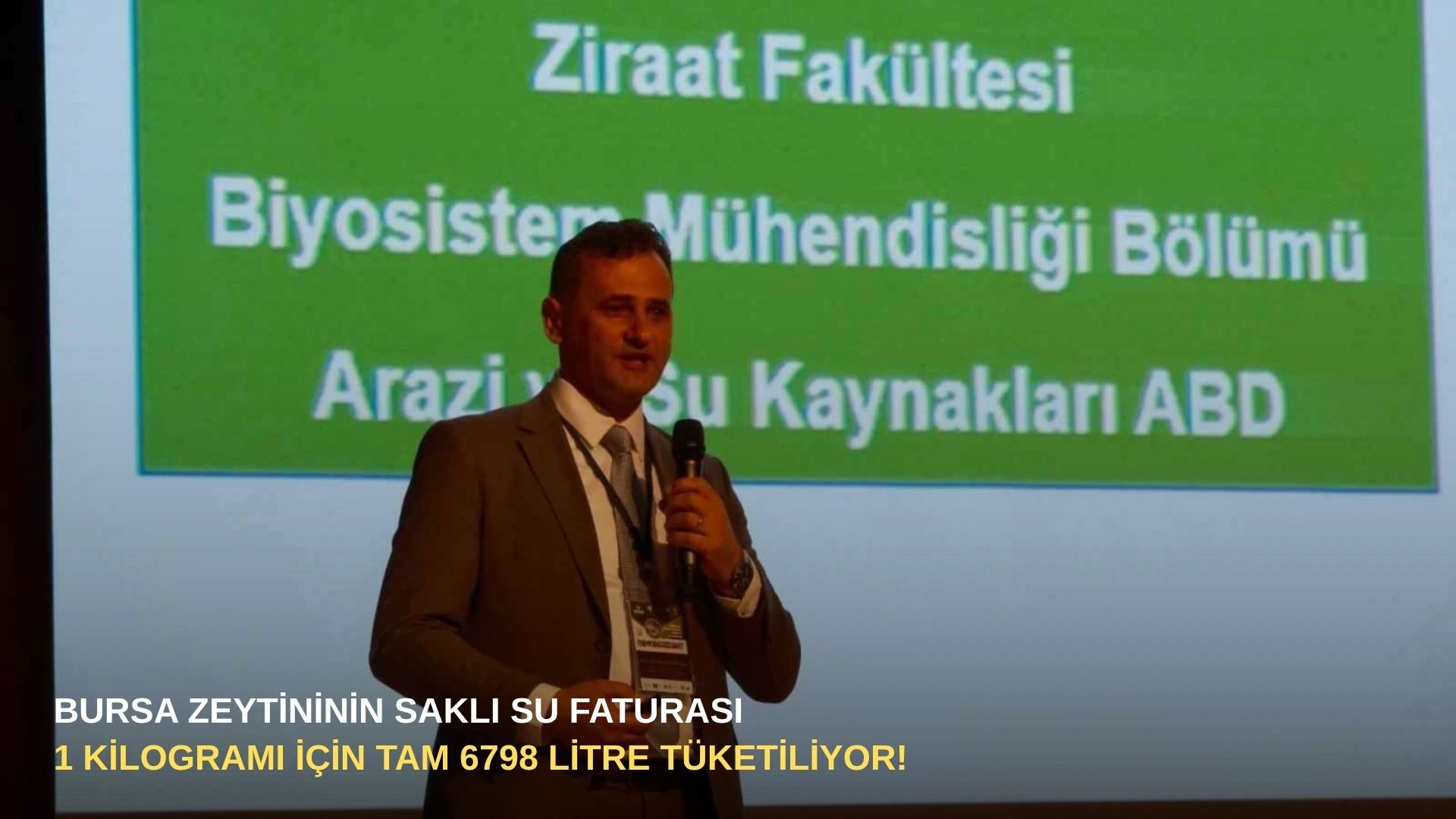 Bursa zeytininin saklı su faturası: 1 kilogramı için tam 6798 litre tüketiliyor!