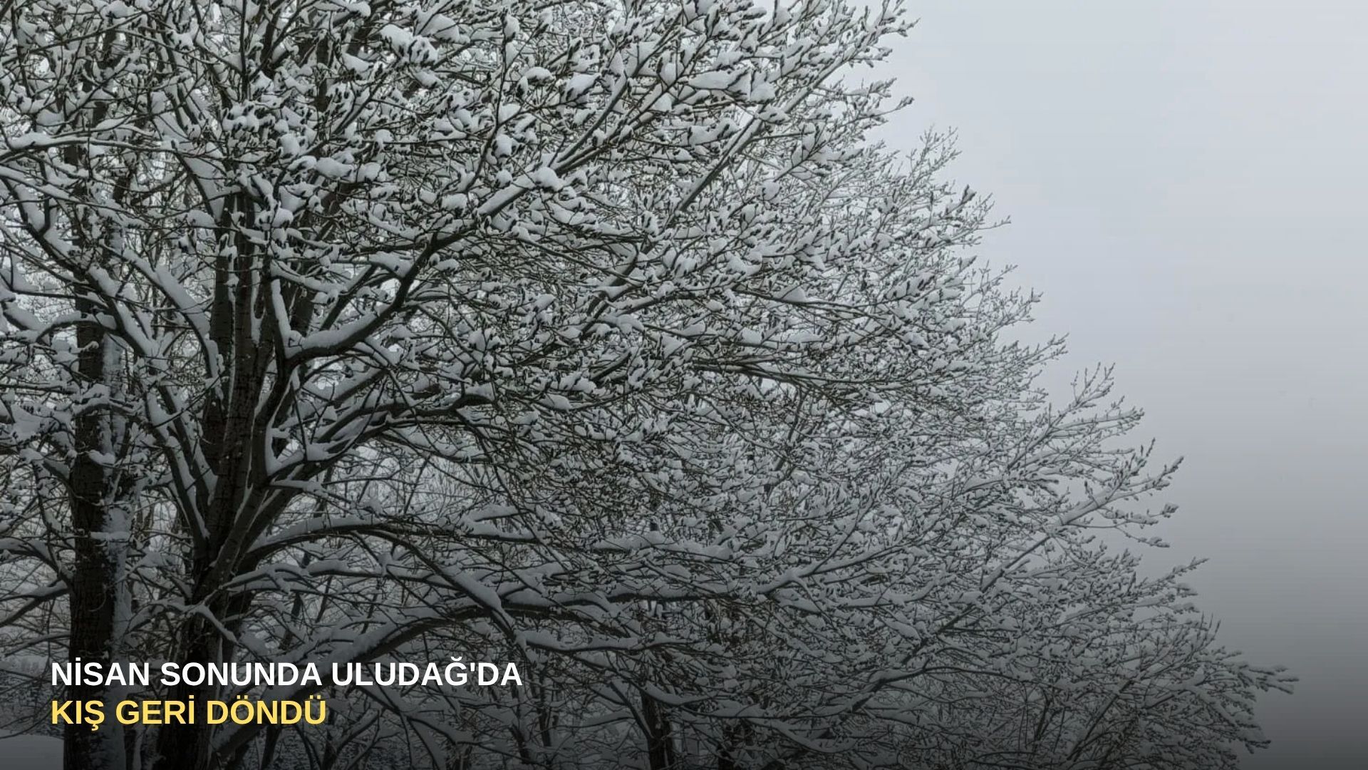 Nisan sonunda Uludağ'da kış geri döndü