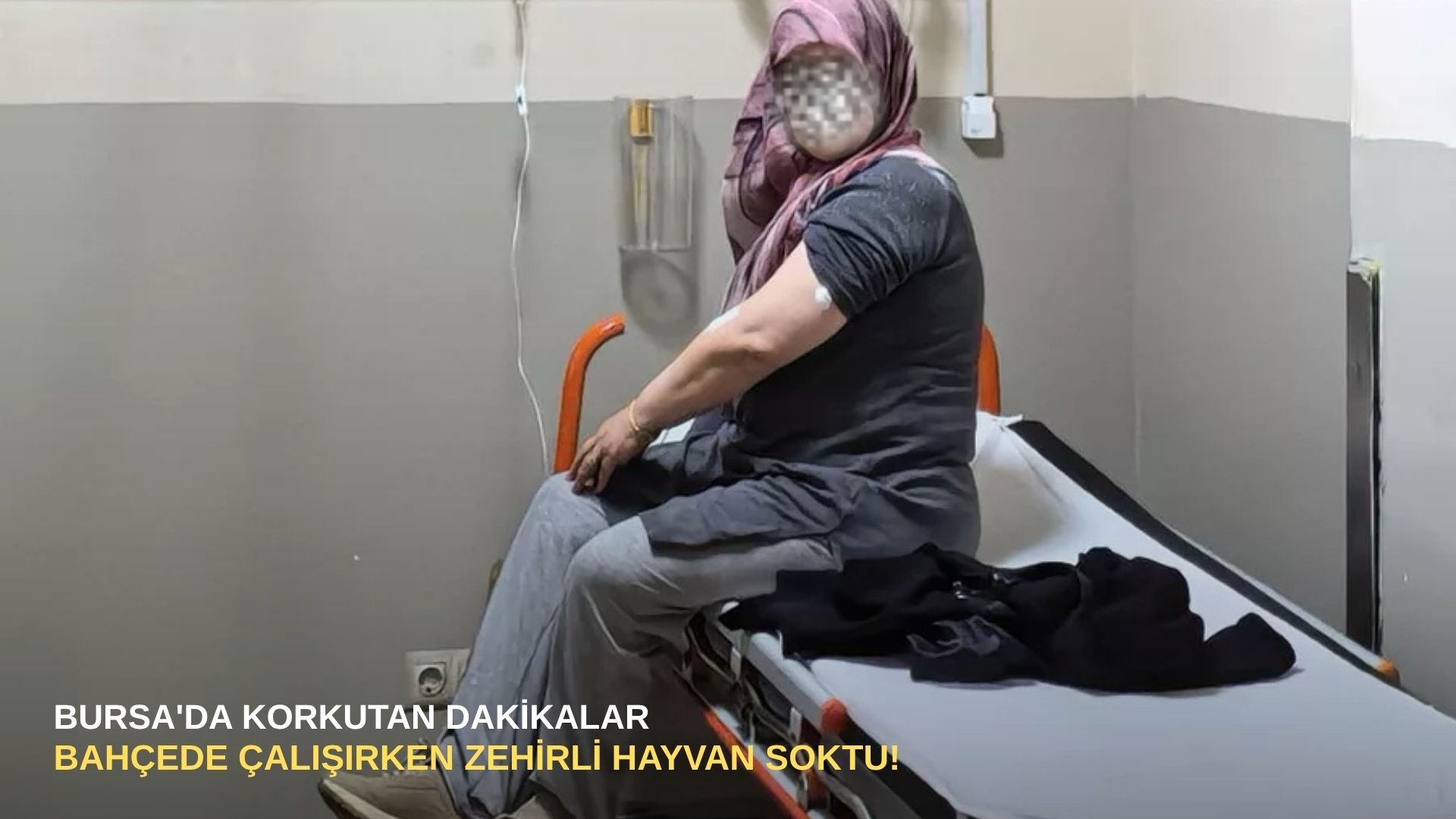 Bursa'da korkutan dakikalar: Bahçede çalışırken zehirli hayvan soktu!