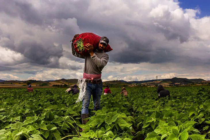 Tmp 2 1775044635 320 1775044641 936 Large