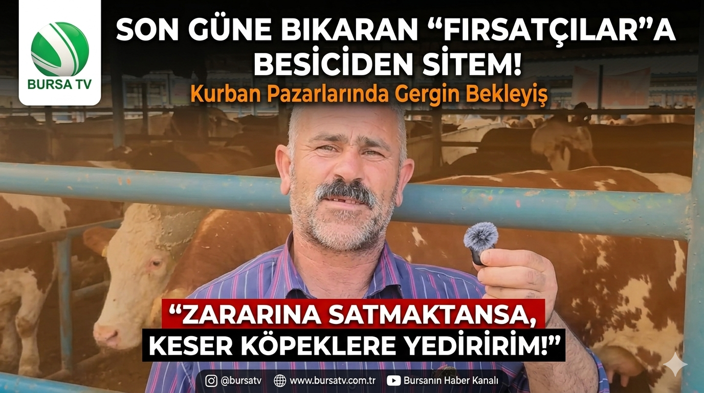 Bursa Kurban Pazarı Esnafı