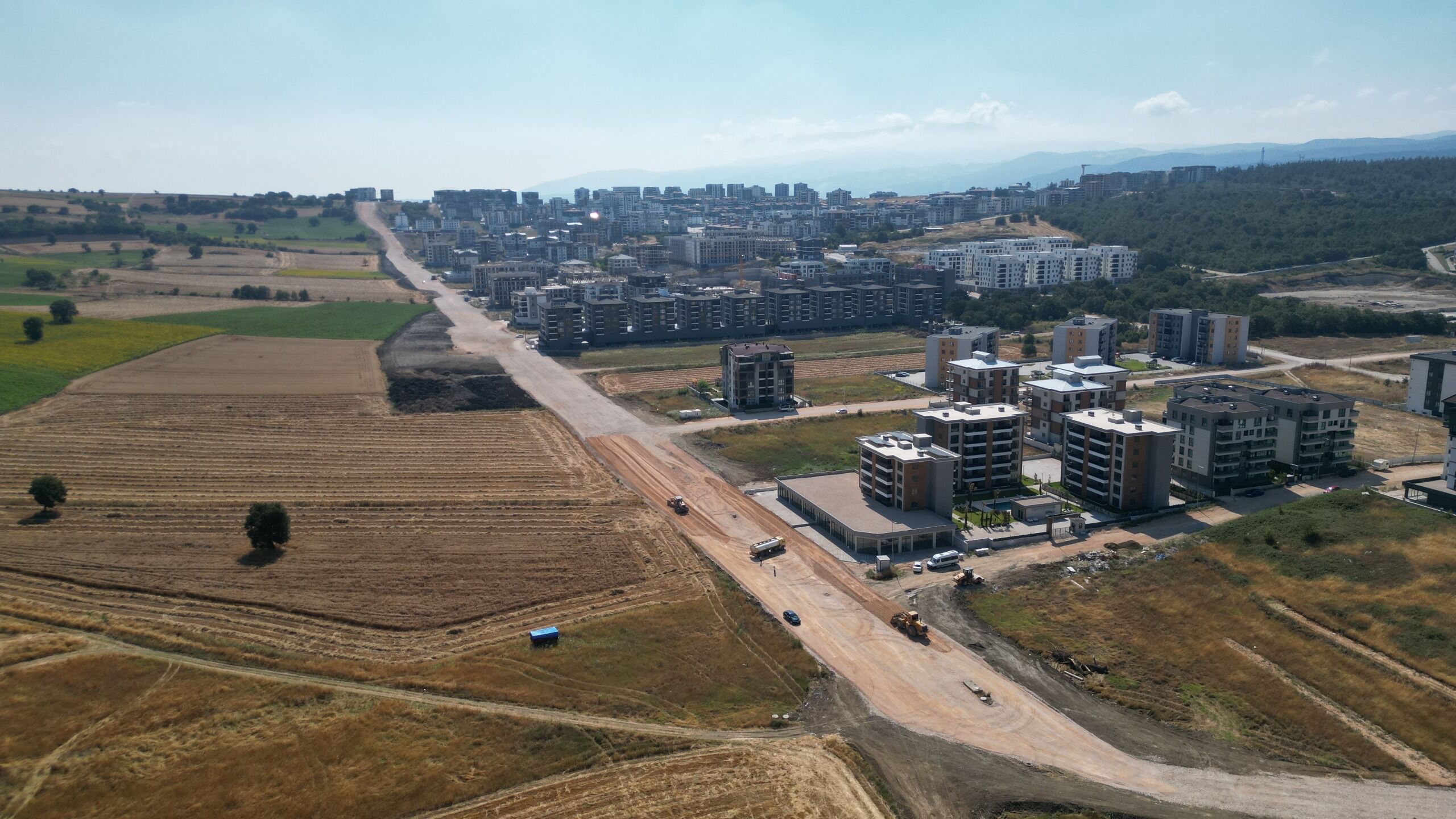 37428 M T Zh N T Bk N2 5-1