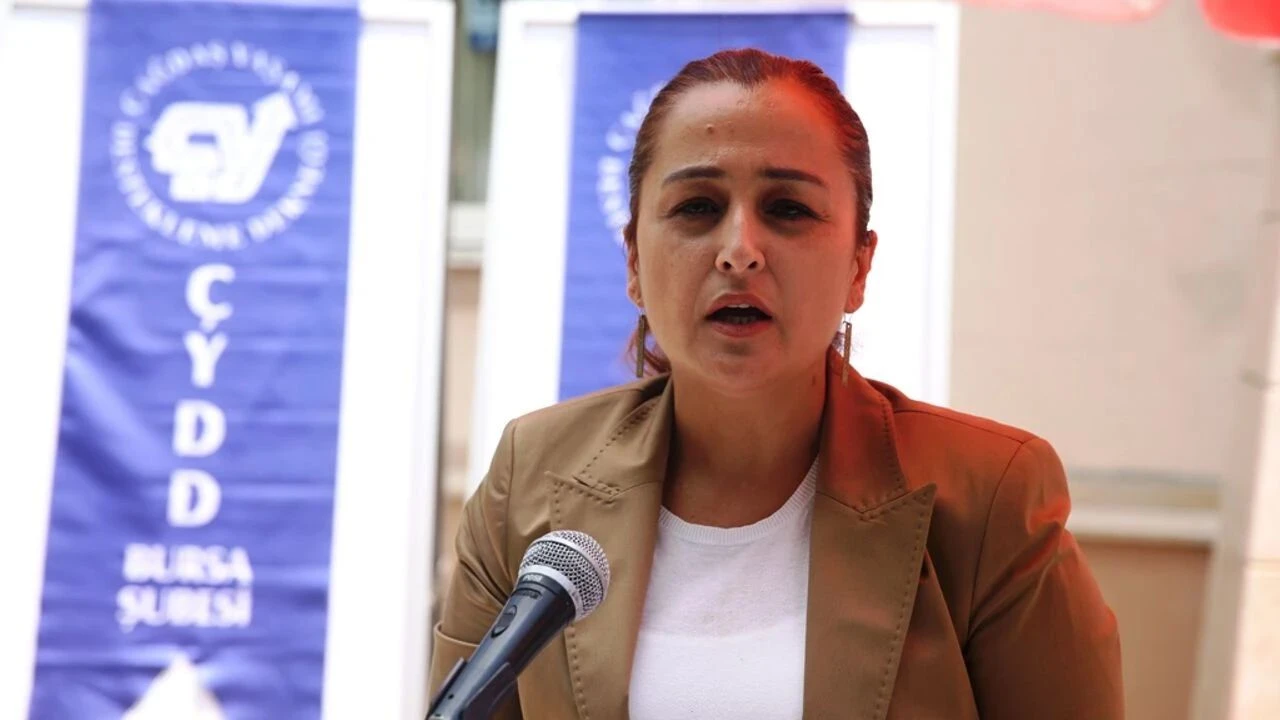 Aysegul Erkol Kimdir Ve Neden Gozaltina Alindi