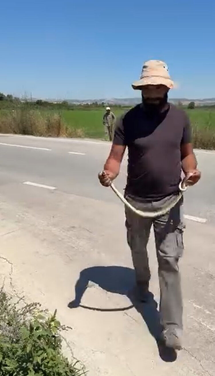 Tarlasini Surerken Gordugu Yilani Zarar 1437629 427417 1785497956 165 X750